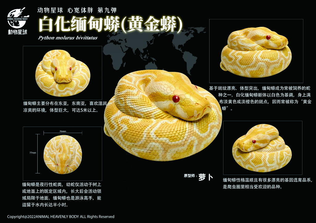 PYTHON COLLECTABLES figurines | Shopee Singapore