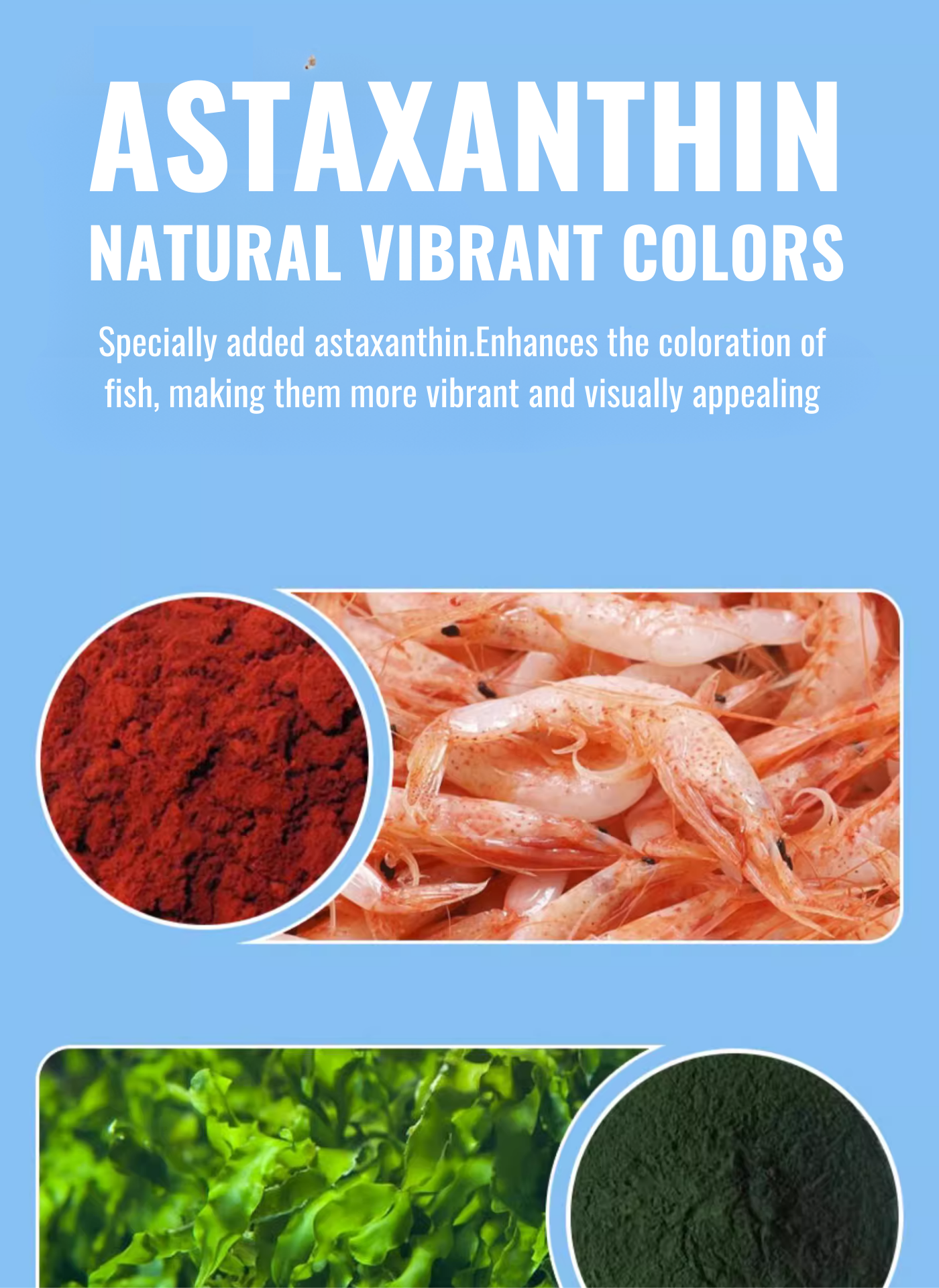 YEE Aquarium Fish Food For Small Fish, Goldfish, Neon Tetra Fish, Fish