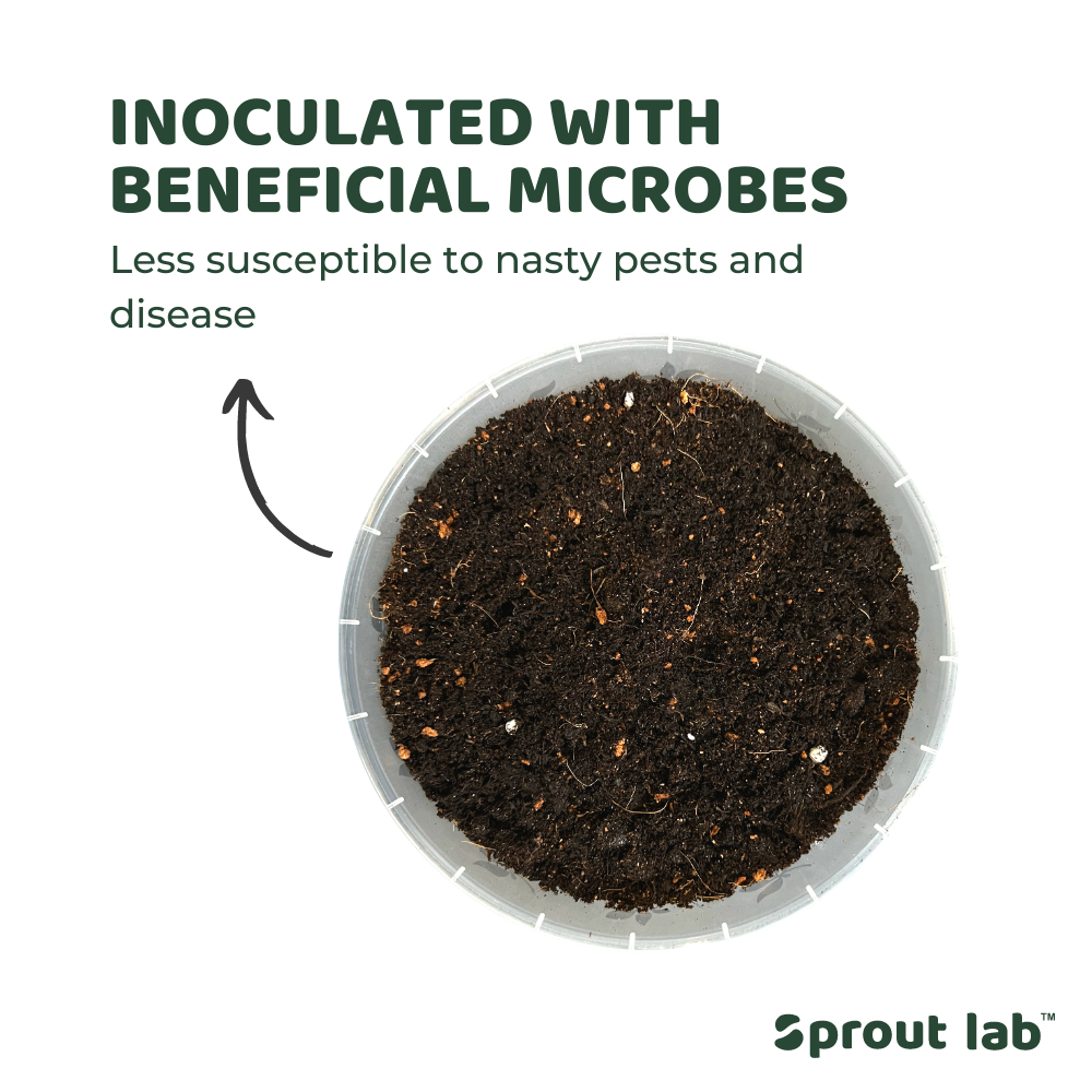 Sprout lab | VEGE MIX 5L - All Purpose Premium Organic Vegetable Soil ...