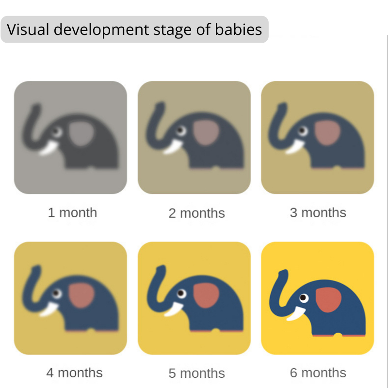 Montessori Baby Visual Stimulation Cards (0-36 Months) Early ...