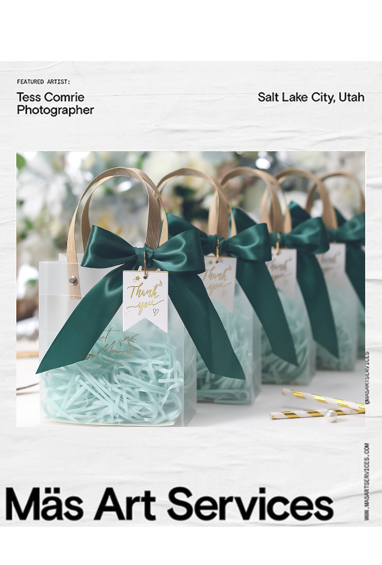 Premium PVC Gift Bag Non-paper For Wedding, Gifting, Teaher Day ...