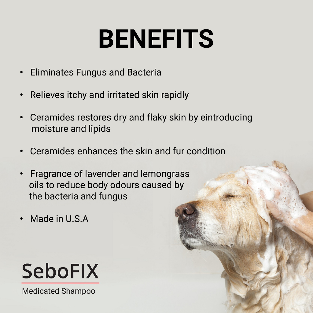 Animedx Sebofix Medicated Shampoo 250ml -Cat Dog, Anti-Fungal, Anti ...