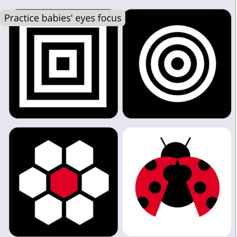 Montessori Baby Visual Stimulation Cards (0-36 Months) Early ...