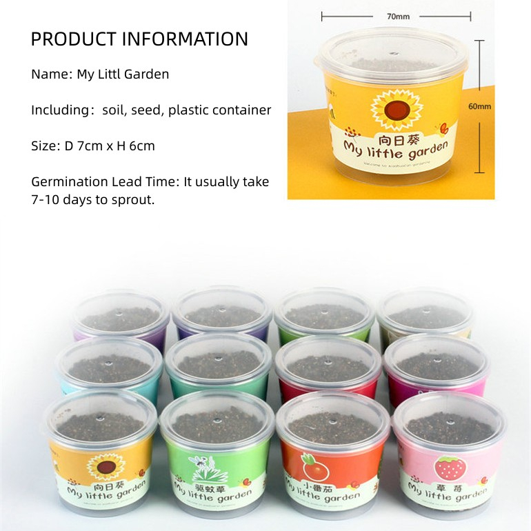 [SG] IMP HOUSE DIY Mini Plant Kit for Kids My Little Garden Series Easy ...