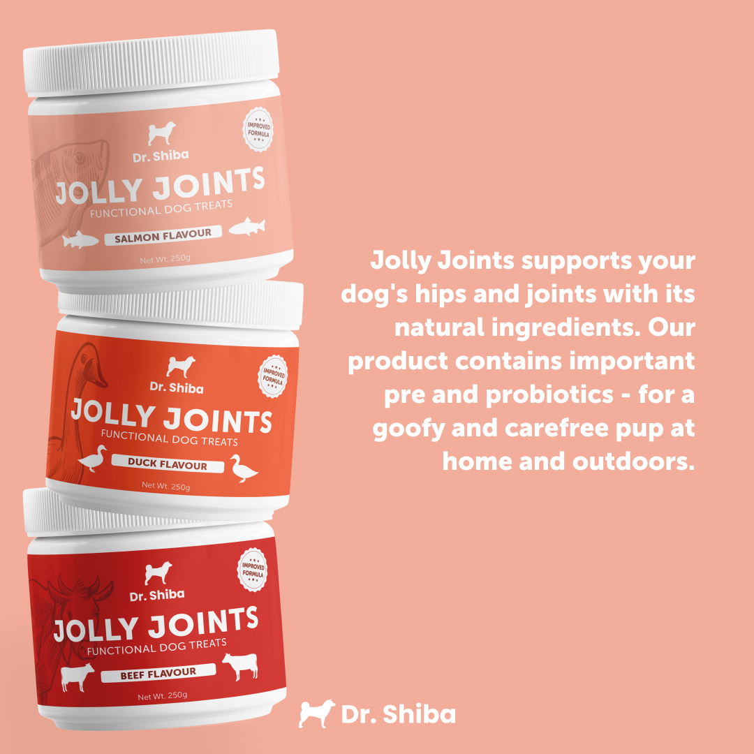Photo inspiration: Dr Shiba Jolly Joints Healthy Dog Treats Snacks Dog Multivitamins Photo Inspiration