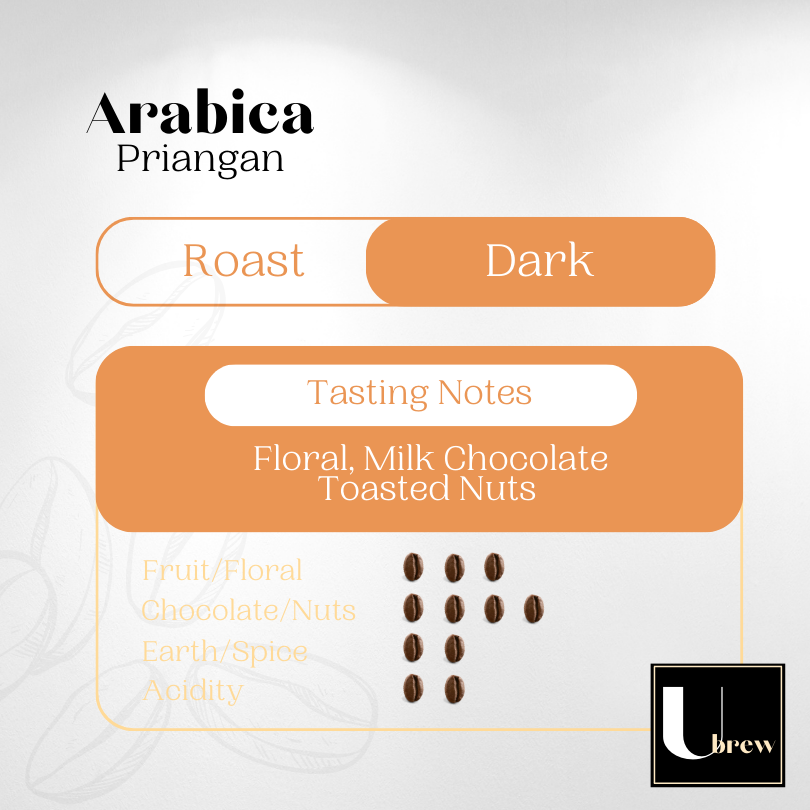 UBrew Freshly Roasted Arabic Whole Beans Coffee Indonesia Priangan ...