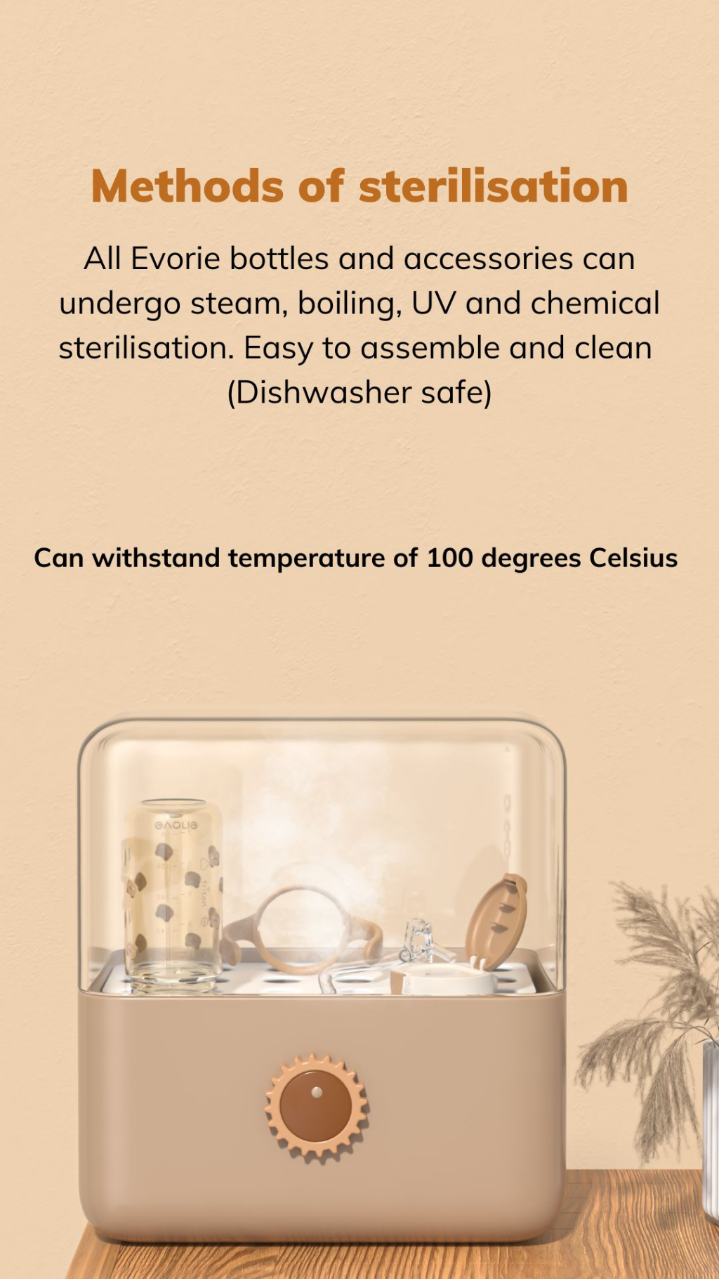 Evorie Tritan Sippy Straw Cup Toddler Water Bottle for kids 14 year