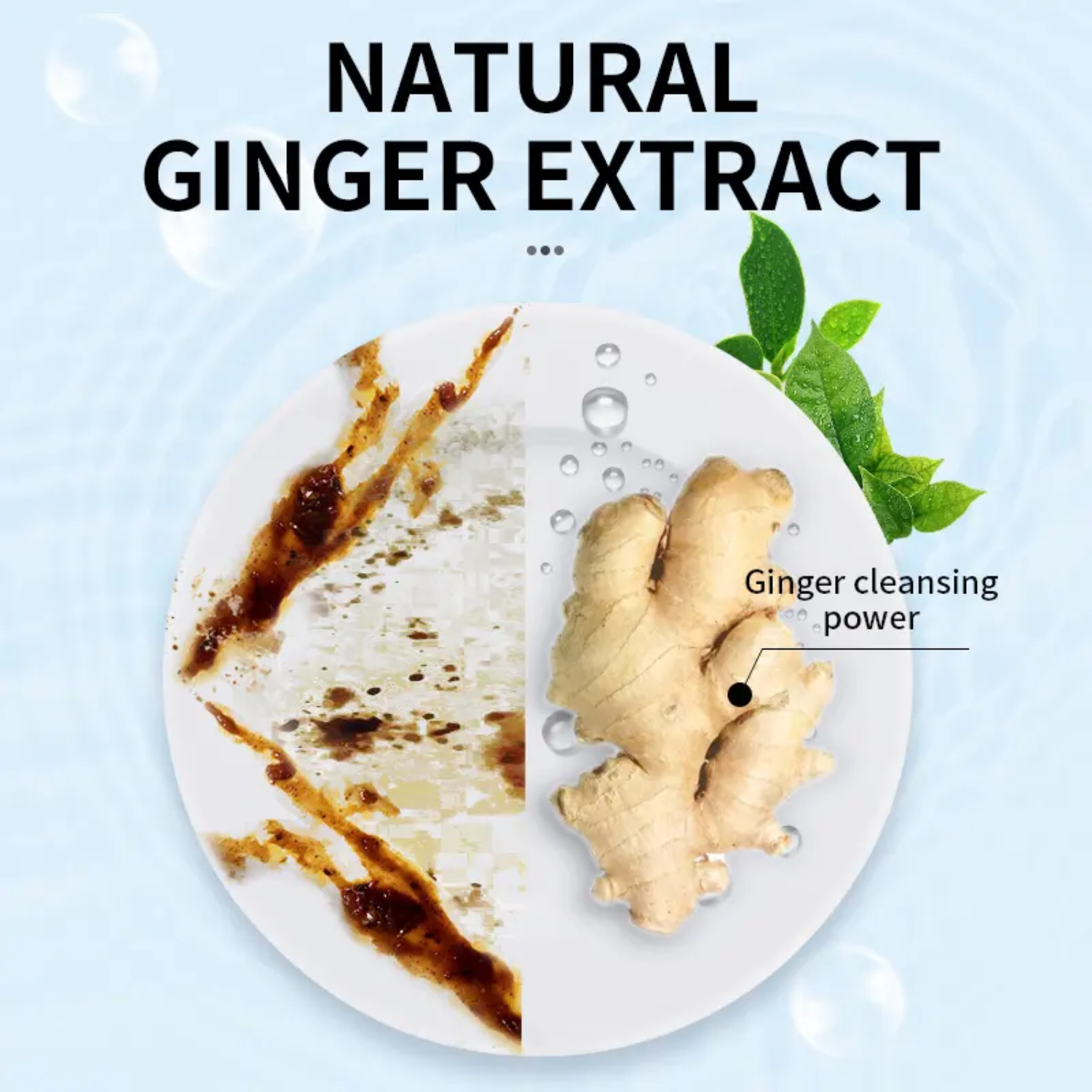 SukGarden Sea Salt Ginger Cutlery Cleaner 800G | Shopee Singapore