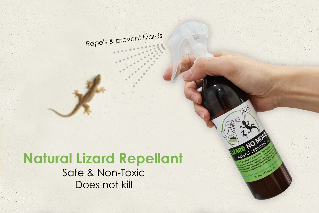 Natural Lizard Repellent Spray - Safe Plant-Based Solution | Shopee ...