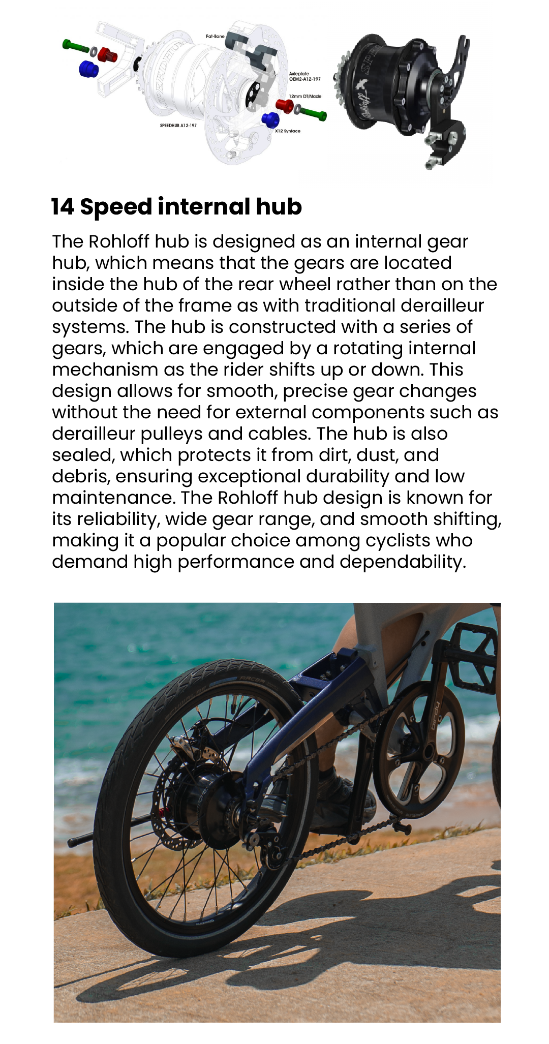 Birdy Rohloff | Rohloff 14-Speed | Performance Foldable Bike | Shopee ...