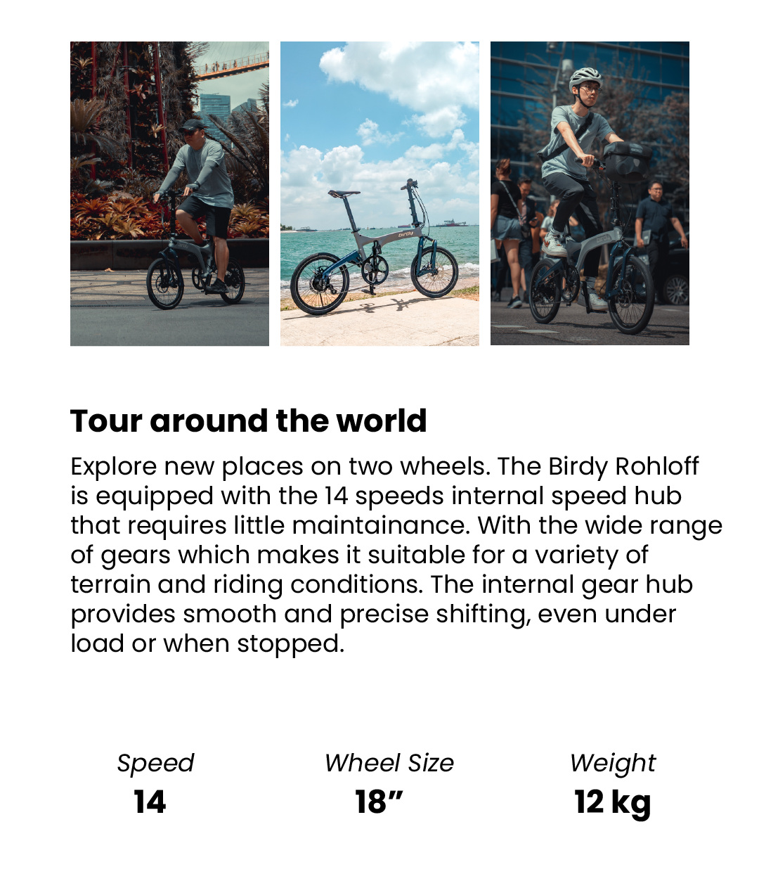 Birdy Rohloff | Rohloff 14-Speed | Performance Foldable Bike | Shopee ...
