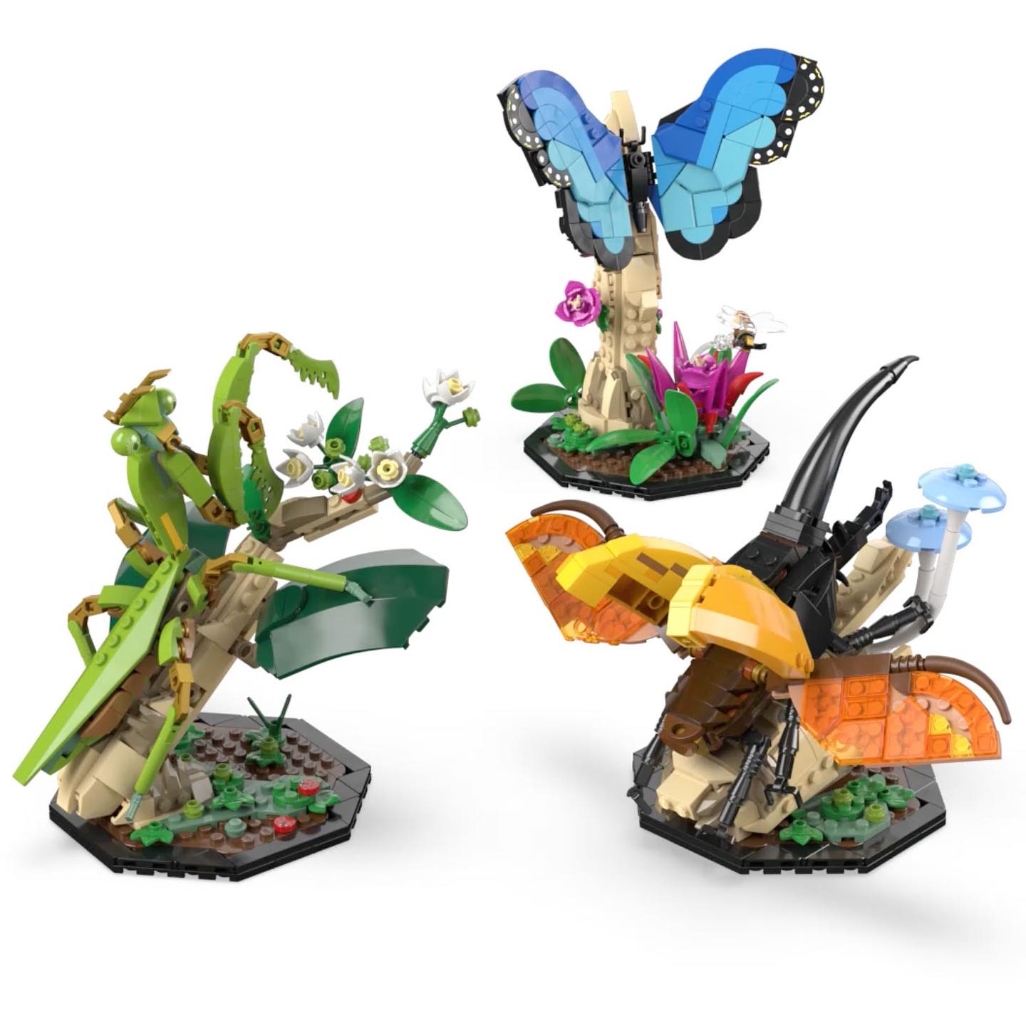 LEGO Ideas 21342 The Insect Collection | Shopee Singapore