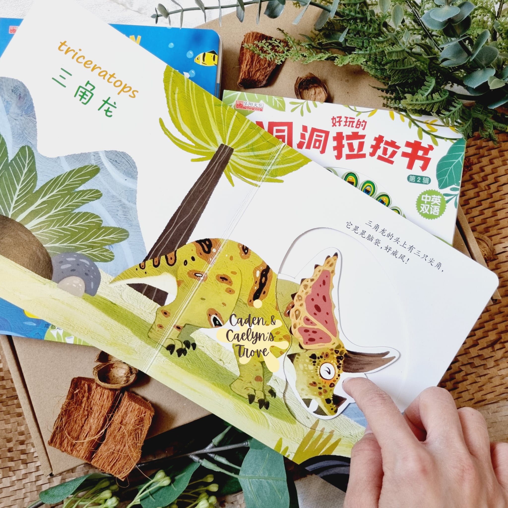 Early Learning Chinese Interactive Board Book for Toddlers 1 to 3 Years ...