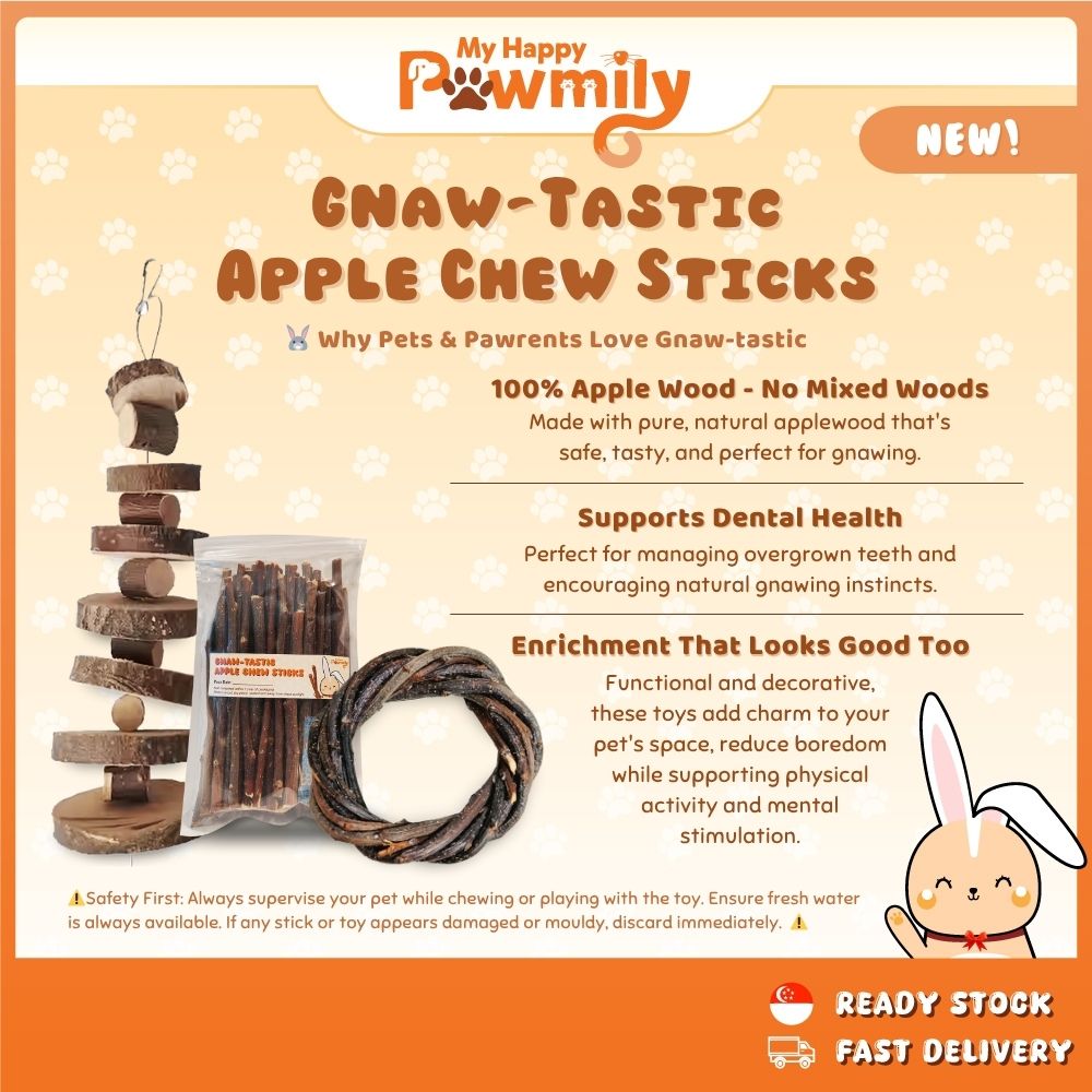 SG Fast Delivery | Gnaw-tastic Apple Chew Sticks & Toys - Natural Gnaw ...