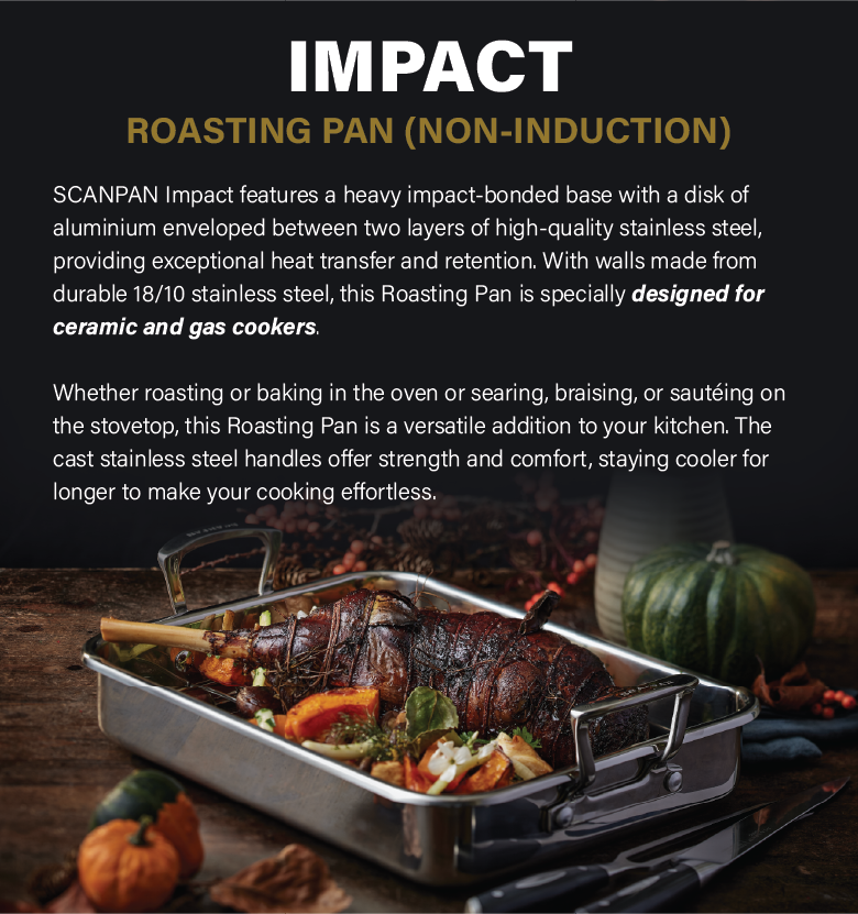 SCANPAN Impact 42x26cm Roaster with Rack (Non-Induction) | Shopee Singapore