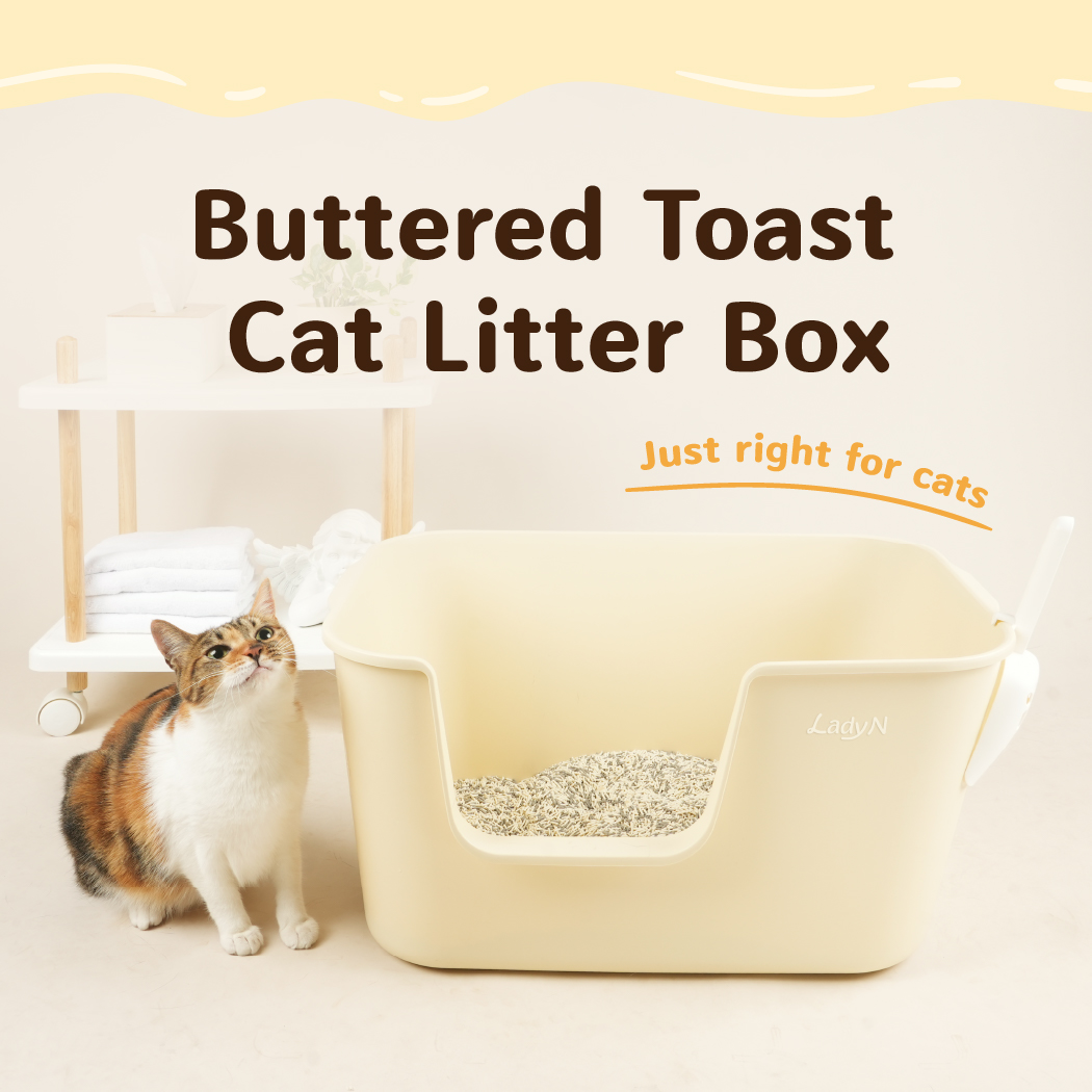 [Free Cat Litter Set] Lady N - Size M Cat Litter Box (with a cat litter ...