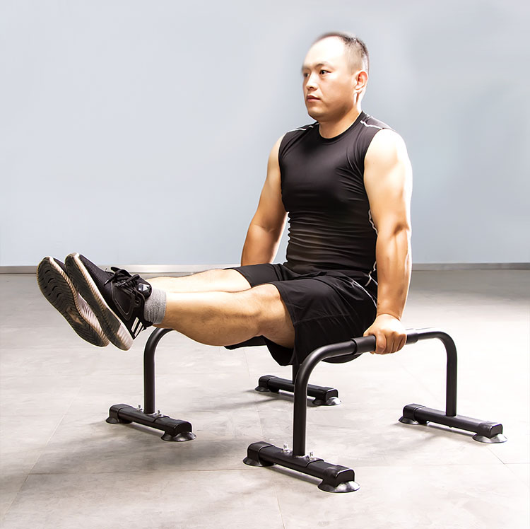 Calisthenics Parallel Dip Bar (Black Color) | Shopee Singapore