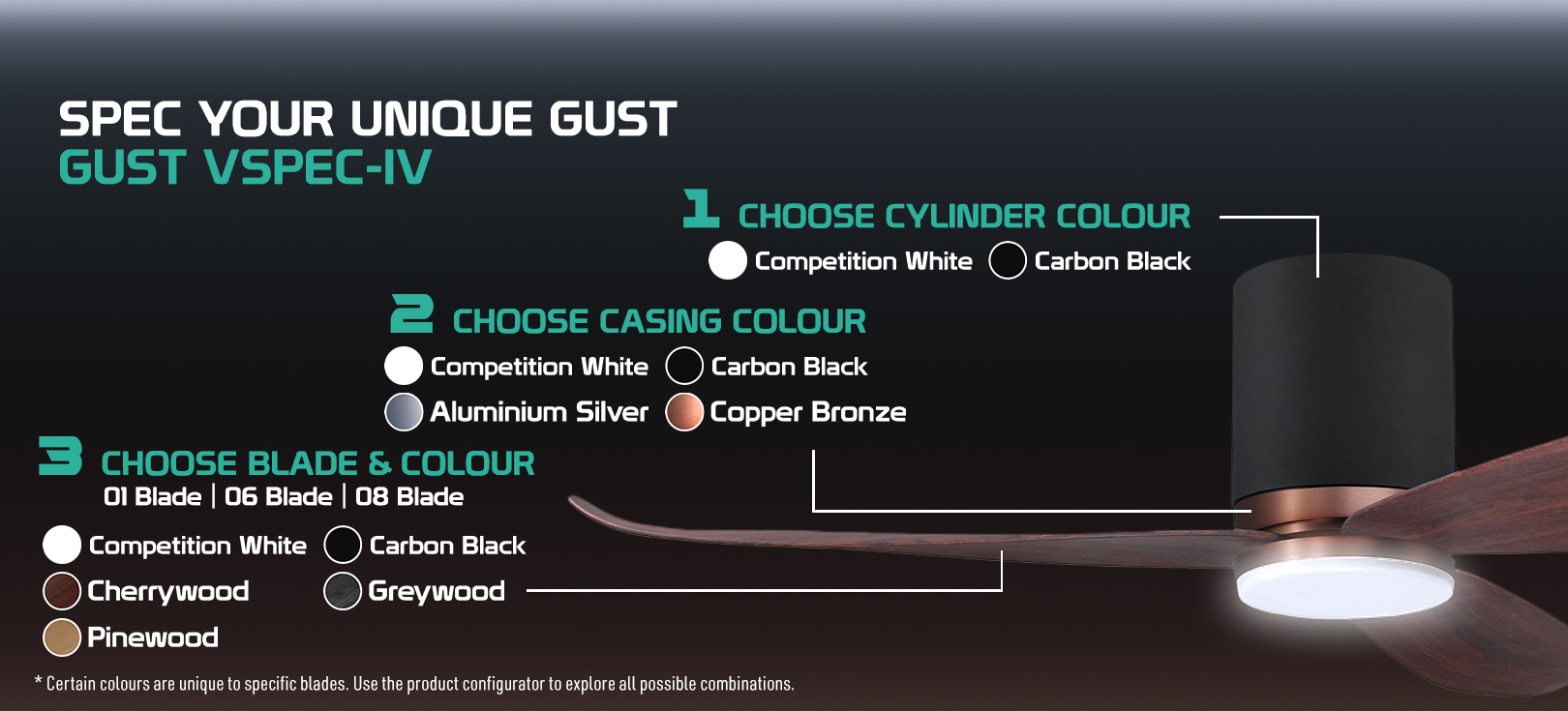 Gust VSPEC-IV (38