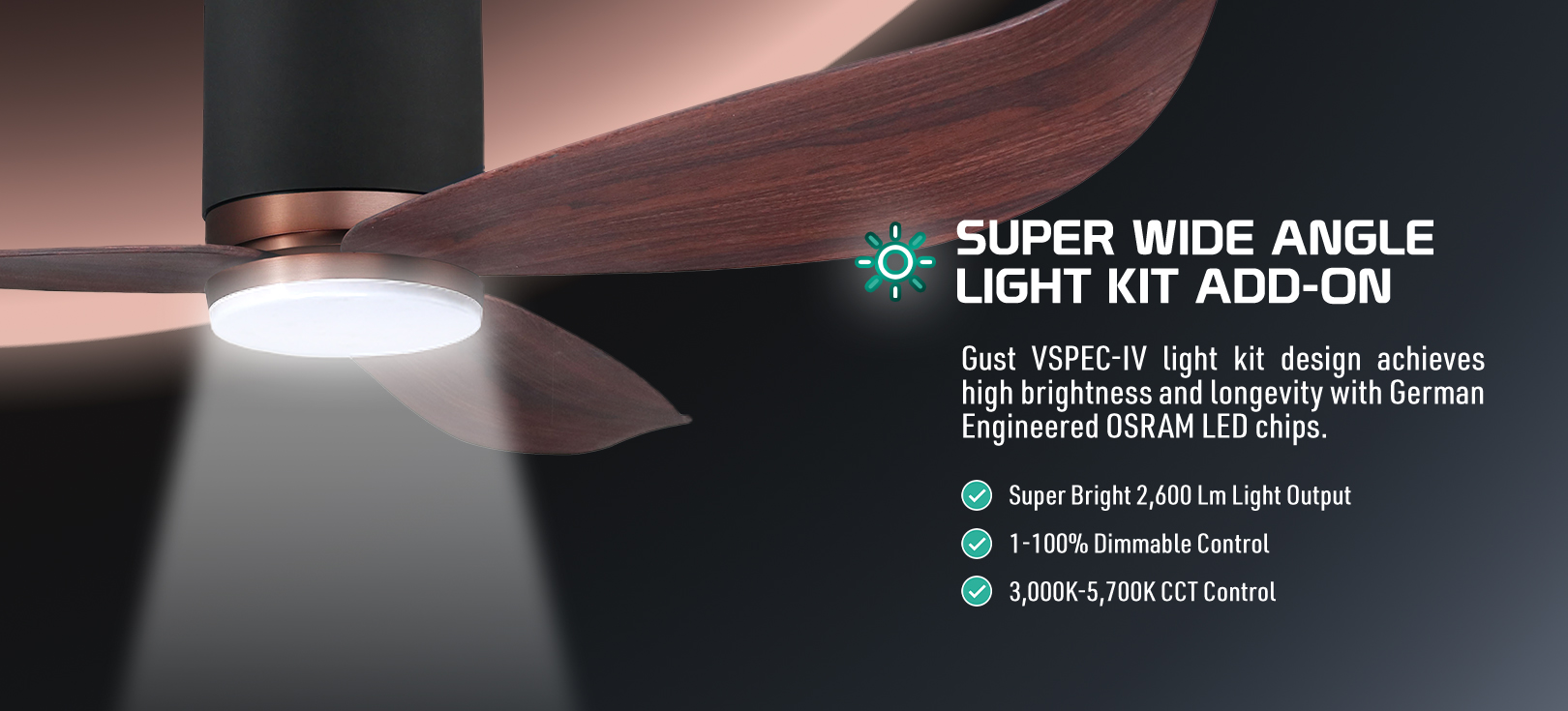 Gust VSPEC-IV (38