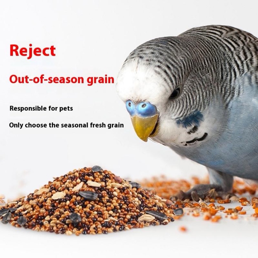Stunning Budgie Mineral Supplement For Developmental Disorders image