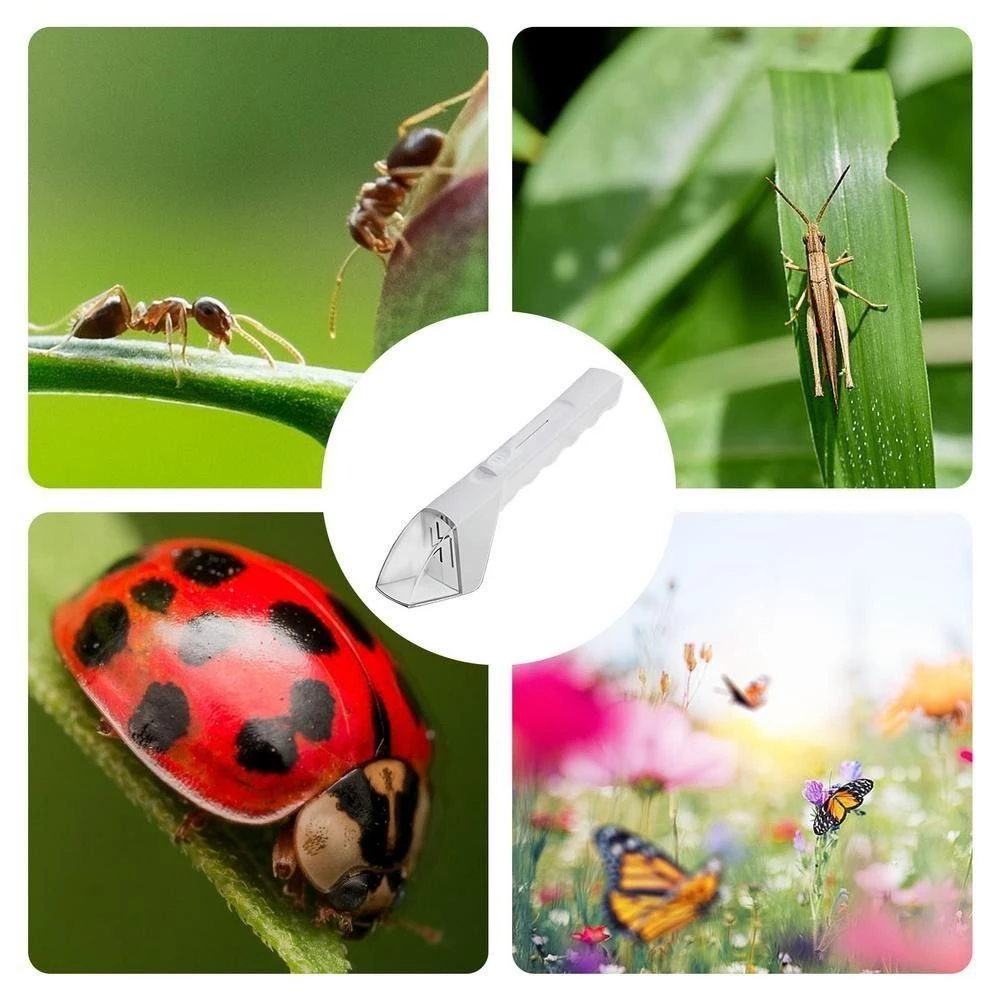[SG Ready Stock]Hand-Held Insects Catching Tool/Insect Catcher Spider ...