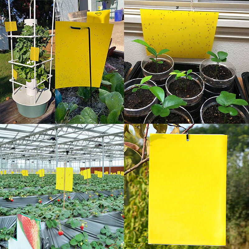 20*15 Double Sided Sticky Fly Board || Insect Traps Pest Killer Fly ...