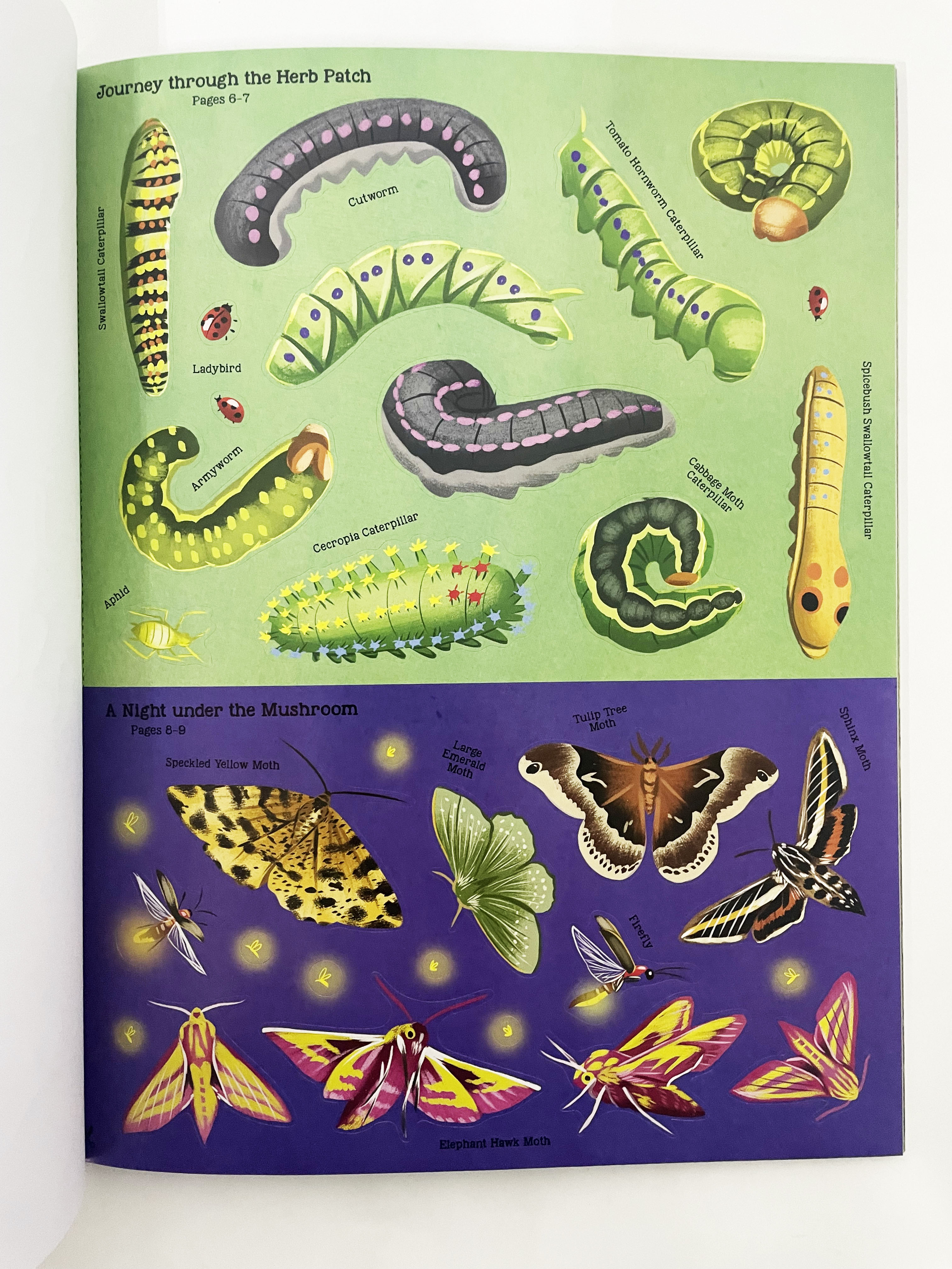 Incredible Insects Activity Book With Giant Stickers For Kids To Learn ...