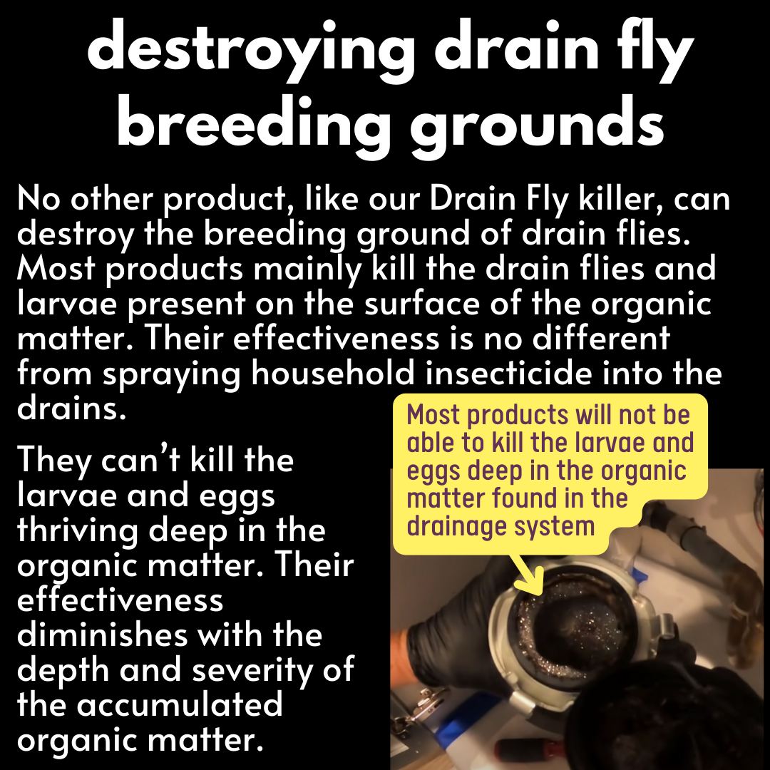 KILLit Drain Fly Killer (1000% Eliminate Infestation, Not Just Killing ...