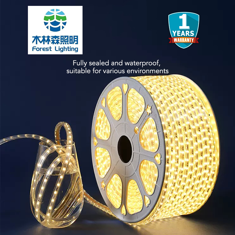 【SG Stock】Forest Lighting Brand 220V LED Strip Light 2835 3000K Green ...