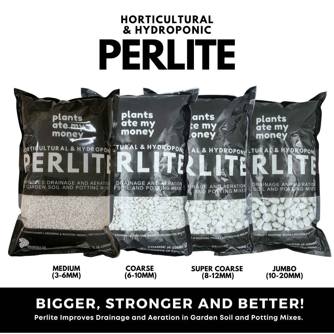 Perlite Premium 2-6mm