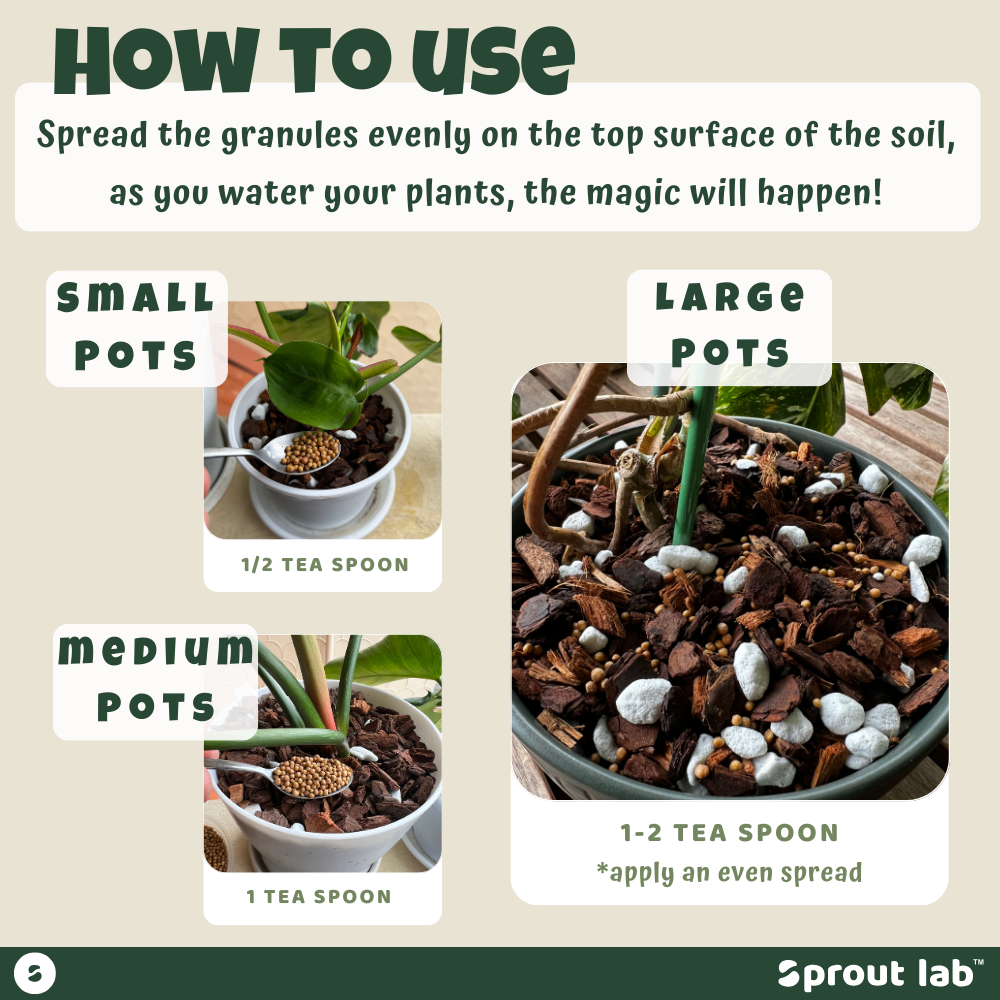 Sprout lab | 6 MONTHS HOUSEPLANT SLOW RELEASE Fertiliser | Shopee Singapore