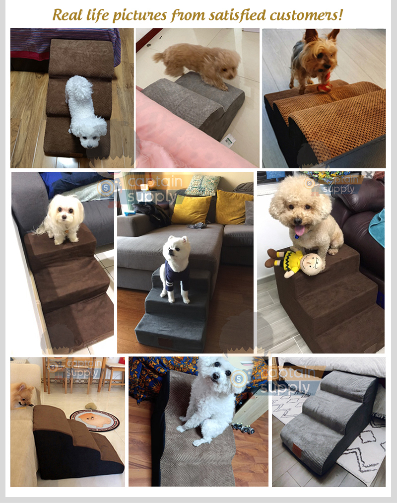 2/3/4-Step Pet Staircase Slope Stairs | Shopee Singapore