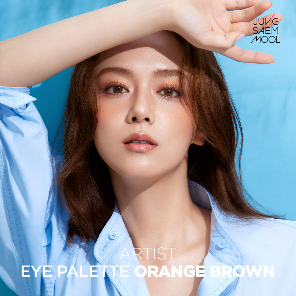 JUNGSAEMMOOL Artist Eye Palette - OB (Orange Brown) | Shopee Singapore