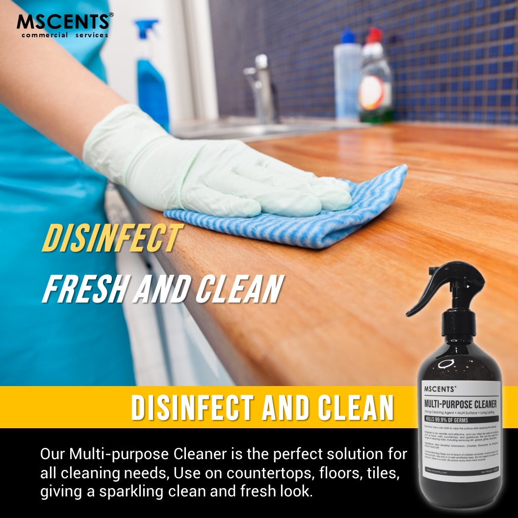 Multi Purpose Cleaner Antibacterial Spray Surface 500ml | Shopee Singapore