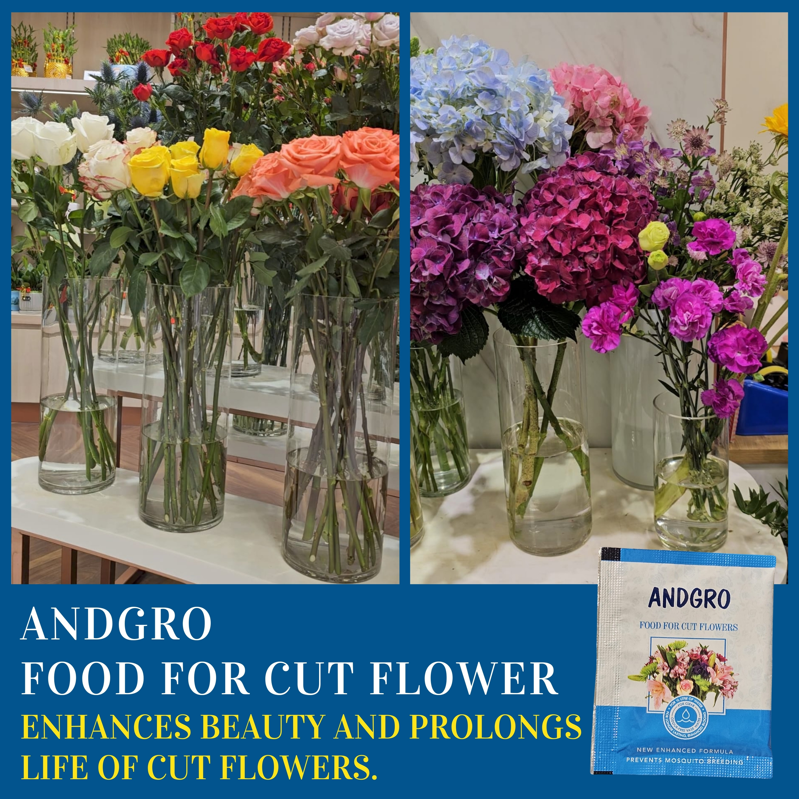 ANDGRO Cut Flower Food (200 sachets of 5gm) enhance prolongs flower