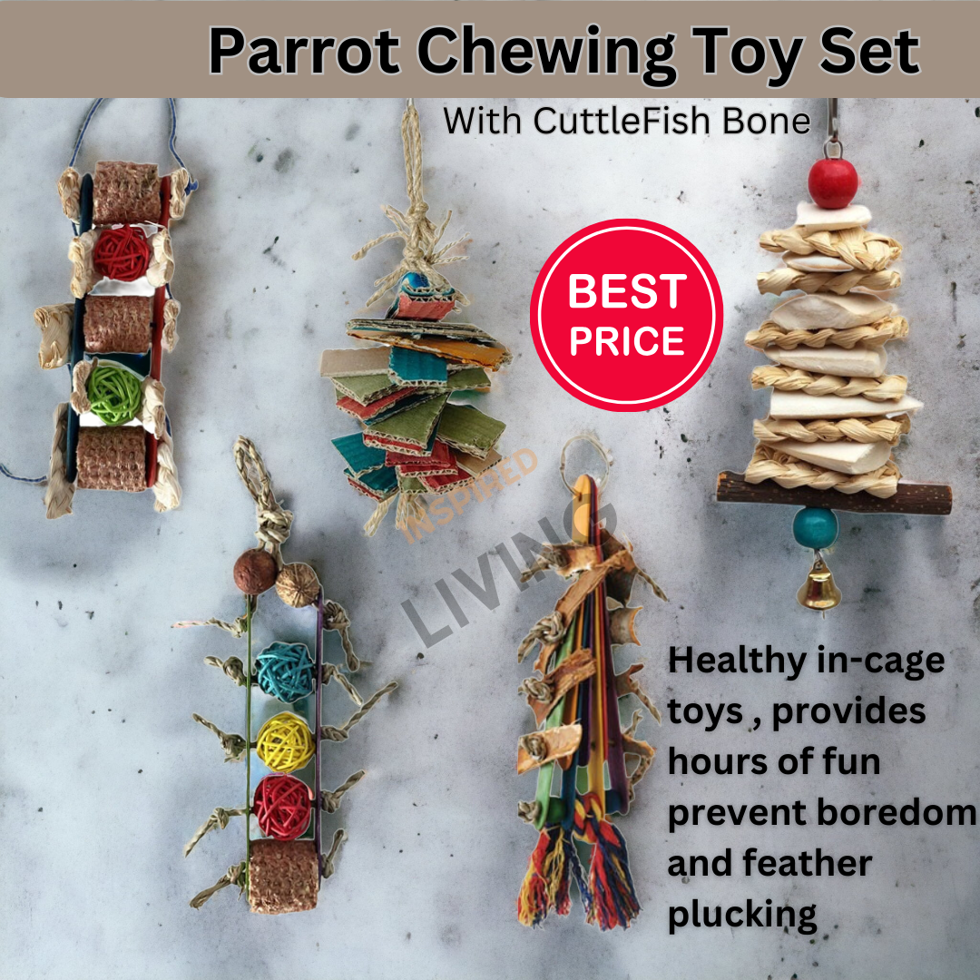 Bird Toy | Parrot Toy -Super XL to Medium Parrot Play Stands ...