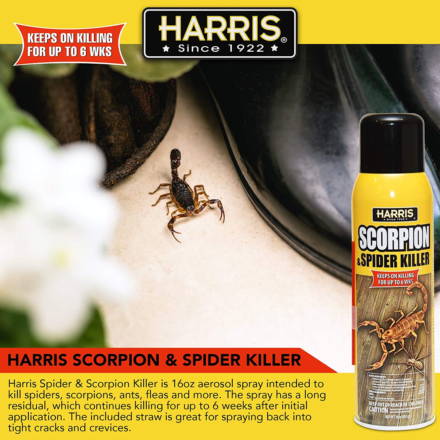 Harris Scorpion and Spider & Multiple Insect Killer / Insecticide 16oz ...