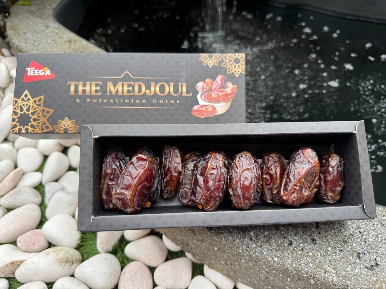 The Medjoul Dates by Teega (250g) | Shopee Singapore