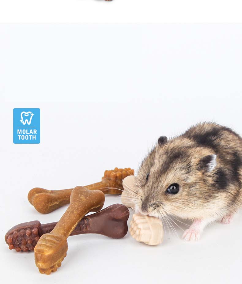 Fresh Look at Jonsanty Molar Dental Chews Healthy Gnaw Snack Treats For Hamsters