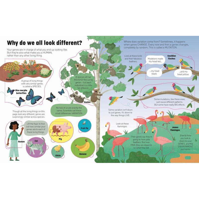 Usborne See Inside GENES and DNA Flip Picture Board Book | Shopee Singapore