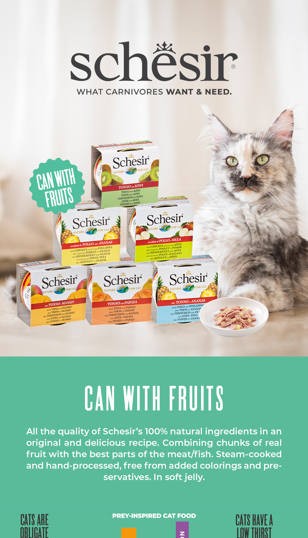 Schesir Cat Canned Wet Food with Fruits 75g - 100% Natural Ingredients ...