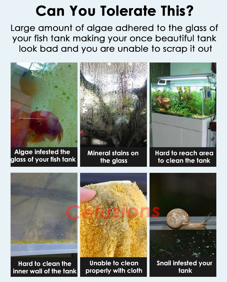 【SG Seller】 ️Fish Tank Razor Algae Scraper ️Aquarium Cleaning Tool 5 ...
