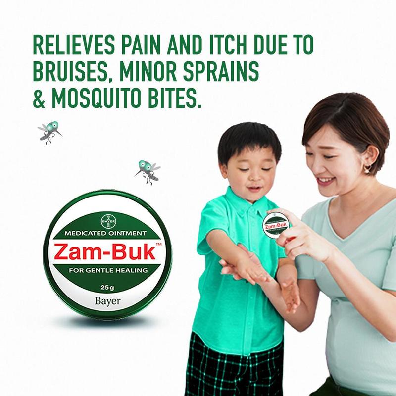 Zam-Buk Medicated Ointment, 25g | Shopee Singapore