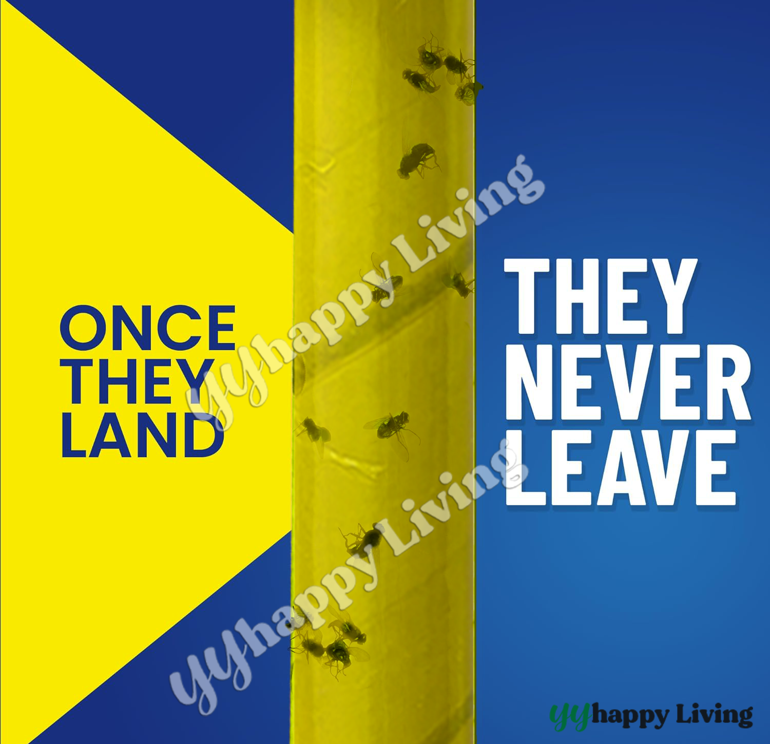 [SG Ready Stock]Magic Fly Trap Sticker | Sticky Glue Trap | Insects ...