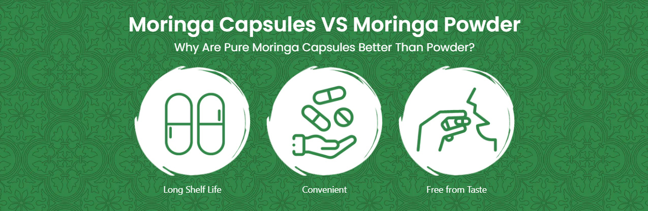 Moringa Supplement 1100mg Nutrients & Antioxidants Moringa Powder ...