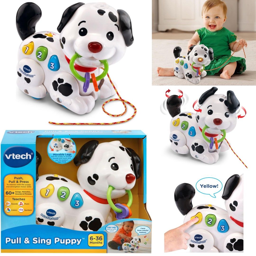 Pull and sing puppy clearance