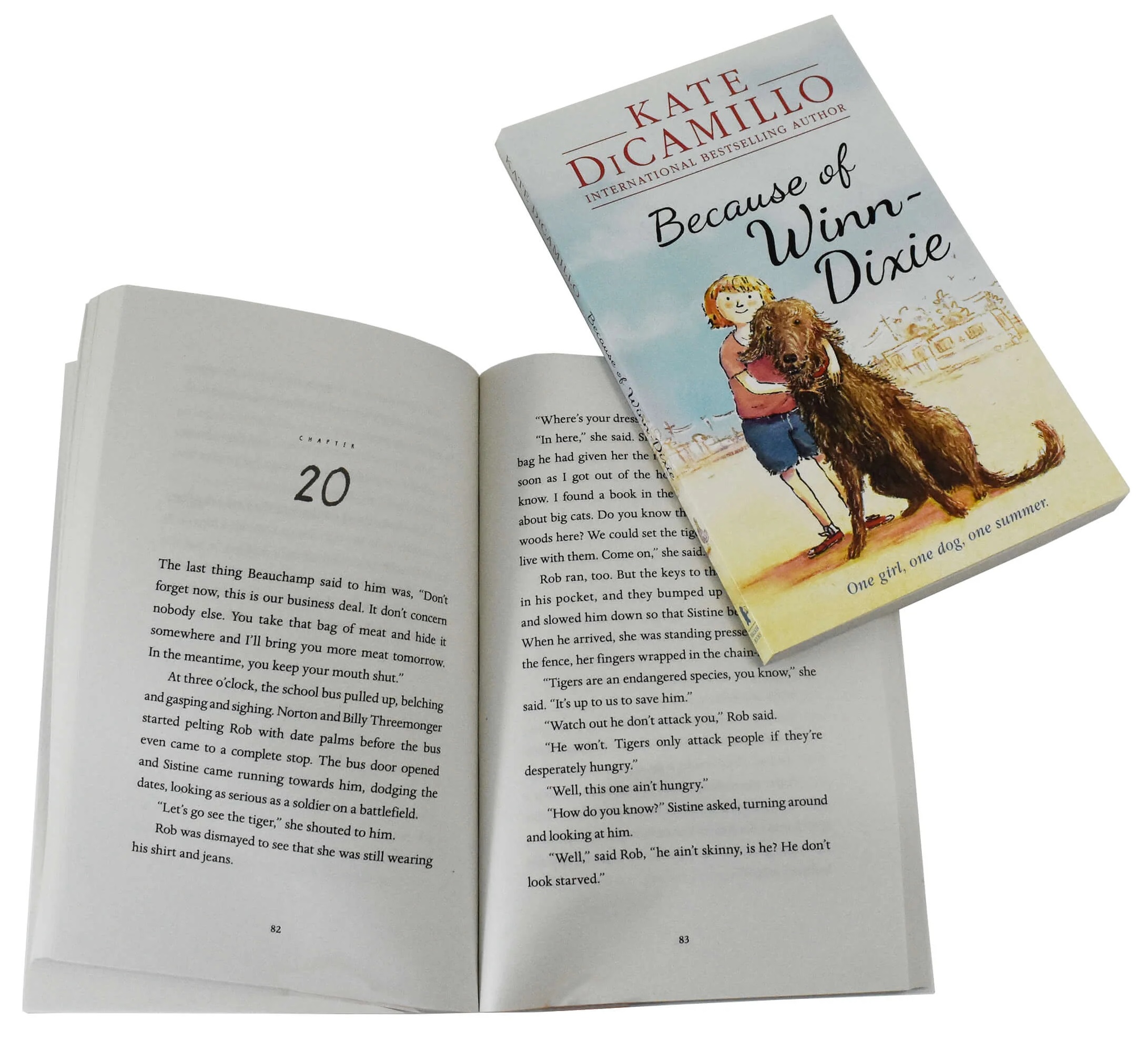 [Imported from UK] The Magician's Elephant: Kate DiCamillo Classic ...