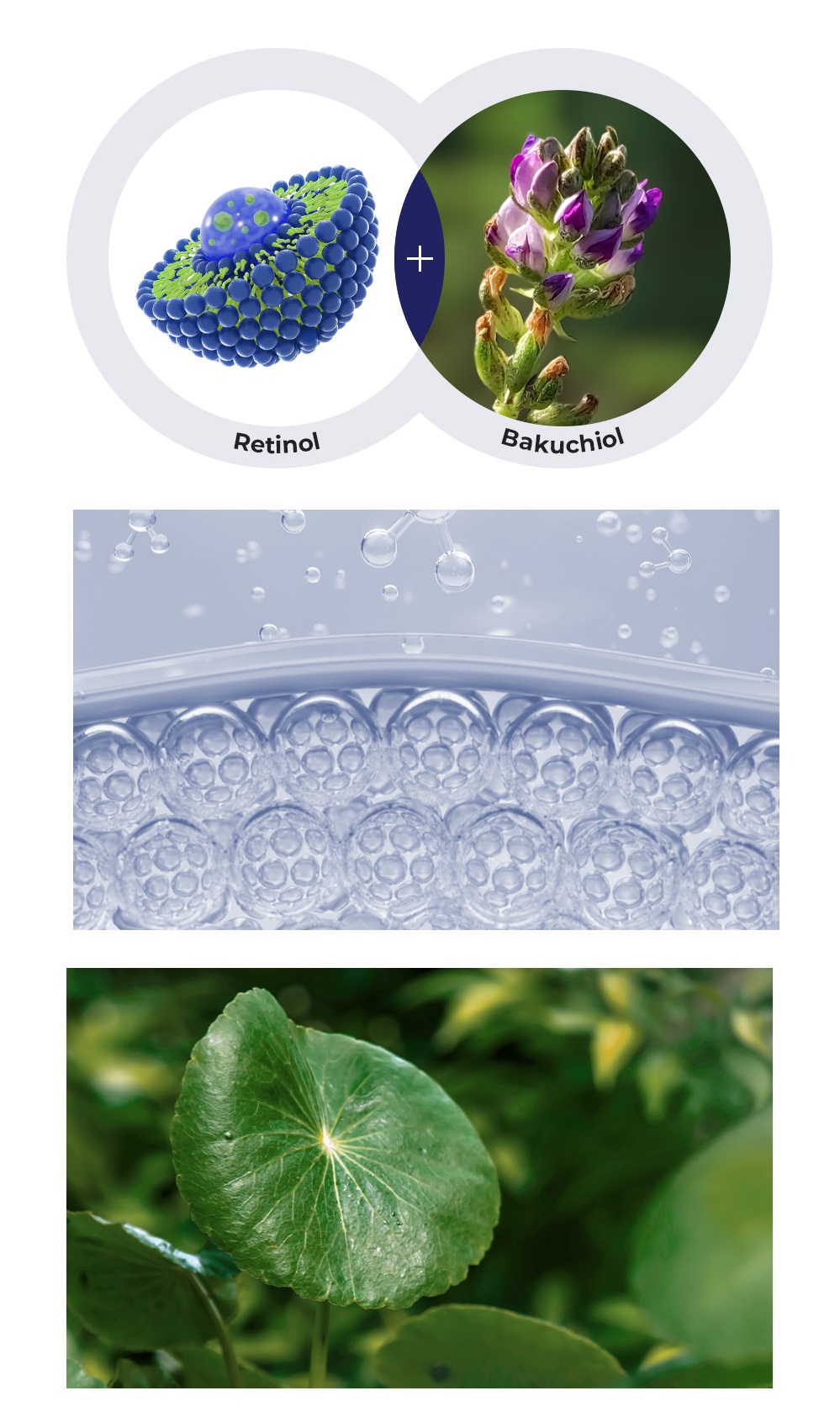 The saem ザセム レチノール PRIME RETINOL 3set THE SAEM] Prime