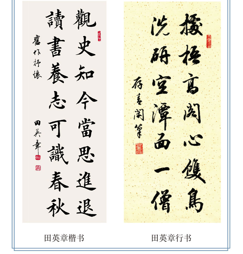 SG汉舟书店★田英章书毛笔行书入门教程 作品创作【书法SF 毛笔钢笔字帖 Chinese Copybook Calligraphy图书Book ...