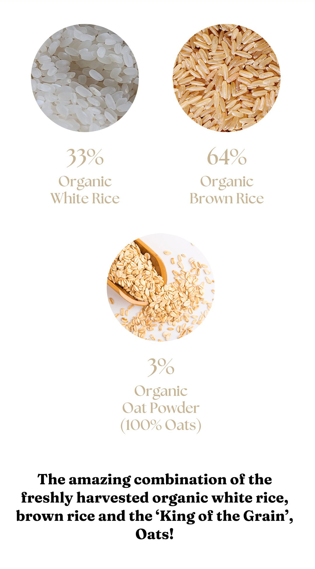 Jilmajae - Organic Brown Rice Oat Stick / Baby Snack / Kids Snack ...